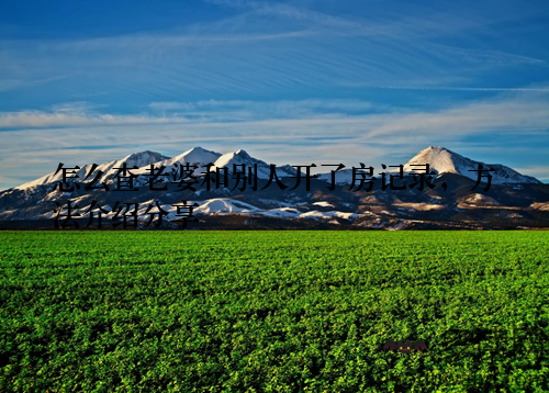 怎么查老婆和别人开了房记录，方法介绍分享