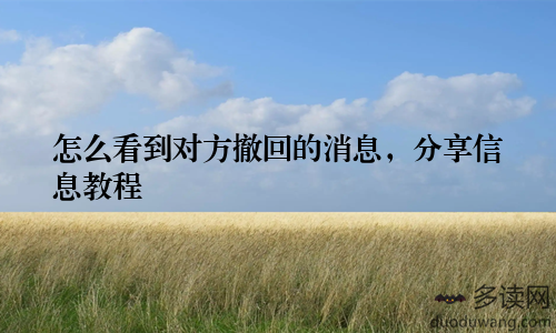 怎么看到对方撤回的消息，分享信息教程