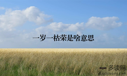 一岁一枯荣是啥意思