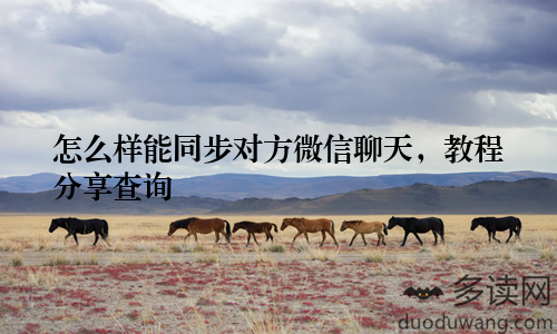 怎么样能同步对方微信聊天，教程分享查询