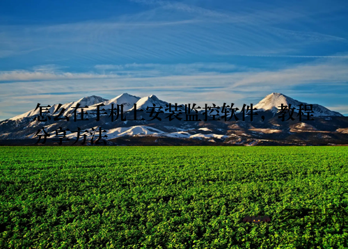 怎么在手机上安装监控软件，教程分享方法