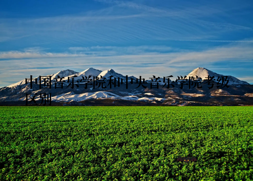 中国音乐学院和中央音乐学院考级区别
