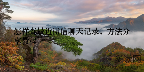 怎样查最近微信聊天记录，方法分享教程