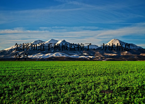 怎样知道手机被监控了,方法信息分享