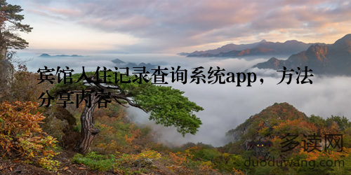 宾馆入住记录查询系统app，方法分享内容