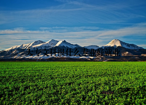 大专文科报什么专业好就业