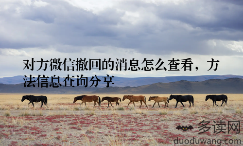 对方微信撤回的消息怎么查看，方法信息查询分享