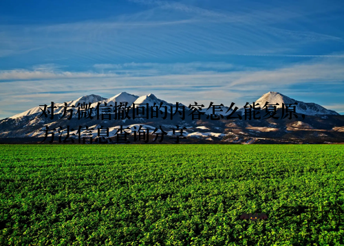 对方微信撤回的内容怎么能复原,方法信息查询分享