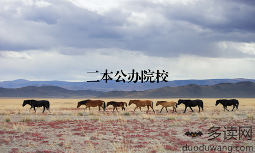 二本公办院校