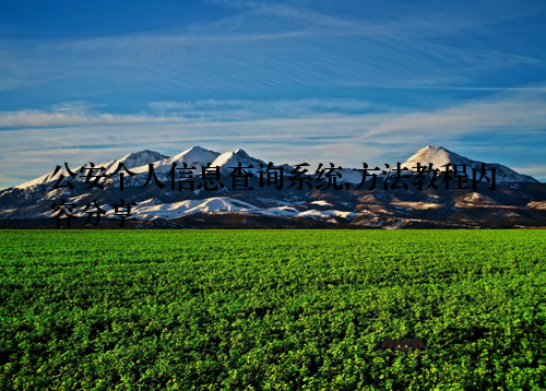 公安个人信息查询系统,方法教程内容分享