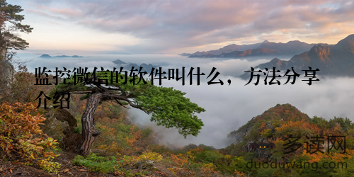 监控微信的软件叫什么,方法分享介绍