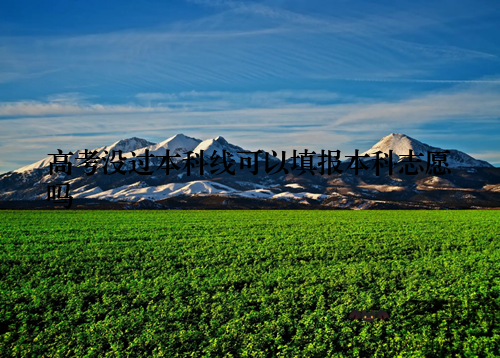 高考没过本科线可以填报本科志愿吗