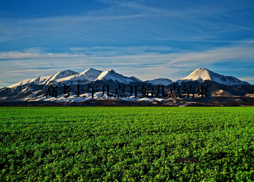 高考上午几点开始几点结束