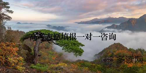 高考志愿填报一对一咨询