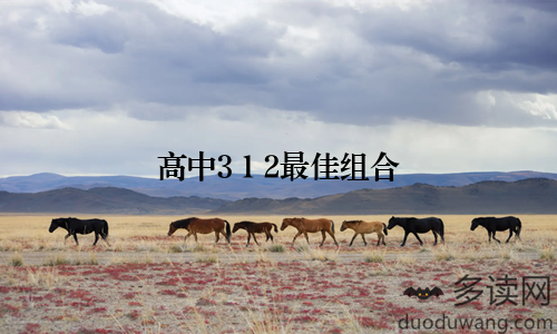 高中3+1+2最佳组合