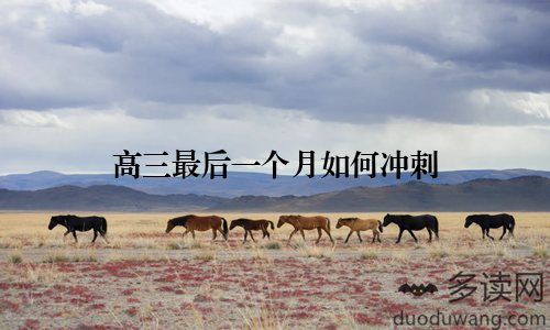 高三最后一个月如何冲刺