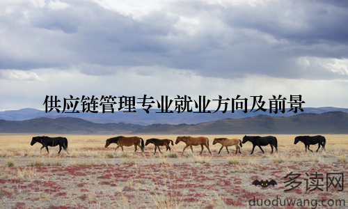 供应链管理专业就业方向及前景