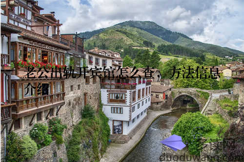 老公出轨开宾馆怎么查,方法信息介绍