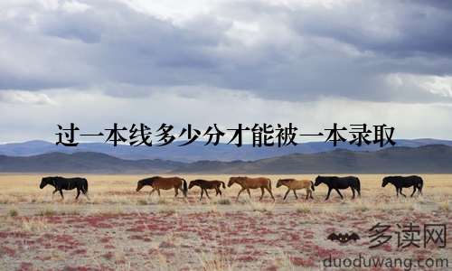 过一本线多少分才能被一本录取