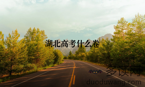 湖北高考什么卷