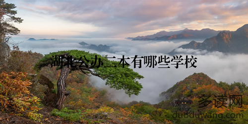 湖北公办二本有哪些学校