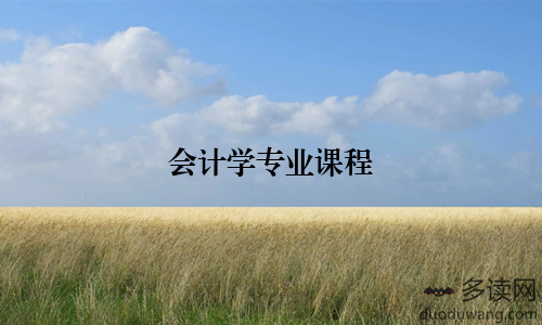 会计学专业课程