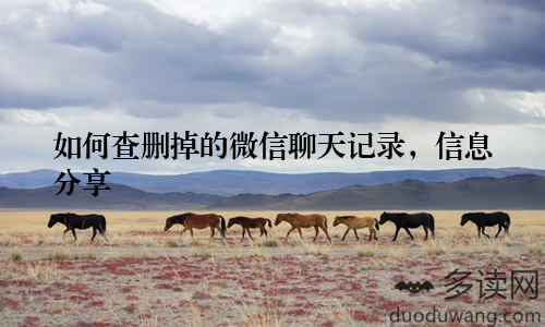 如何查删掉的微信聊天记录，信息分享