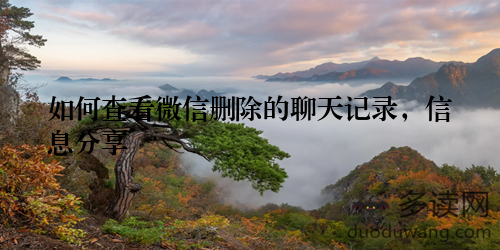 如何查看微信删除的聊天记录，信息分享