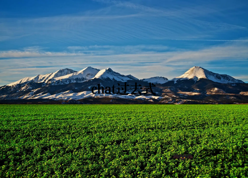 chat过去式