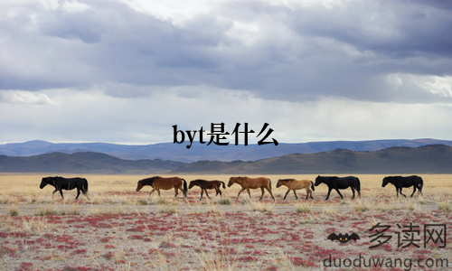 byt是什么