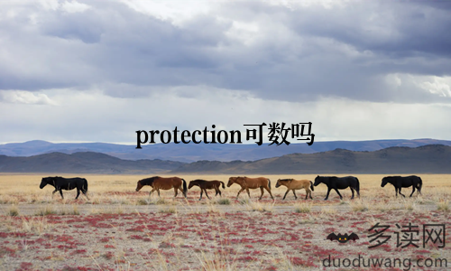 protection可数吗