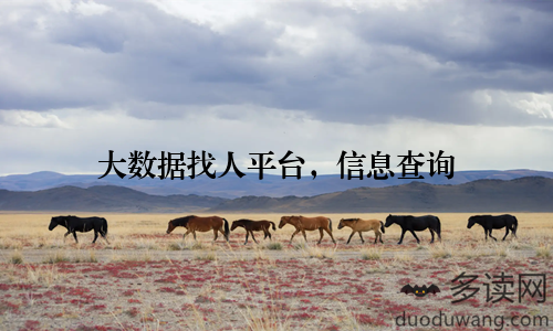 大数据找人平台，信息查询