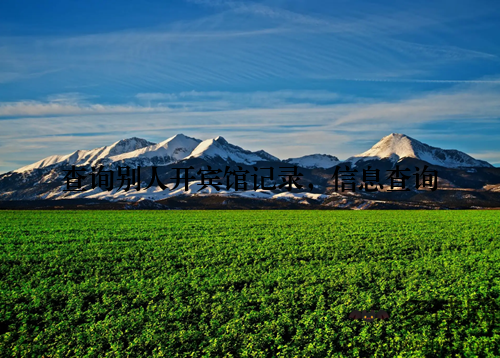 查询别人开宾馆记录，信息查询