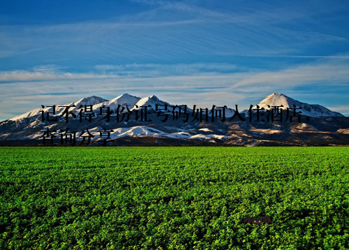 记不得身份证号码如何入住酒店，查询分享