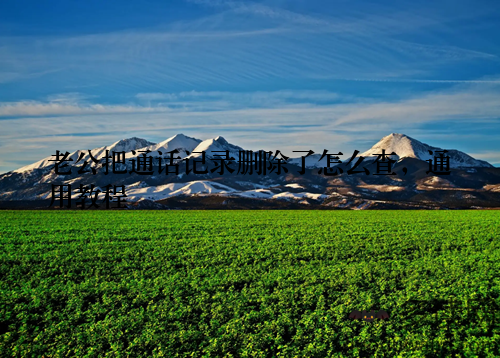 老公把通话记录删除了怎么查,通用教程