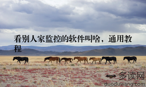 看别人家监控的软件叫啥,通用教程