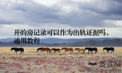 开的房记录可以作为出轨证据吗，通用教程