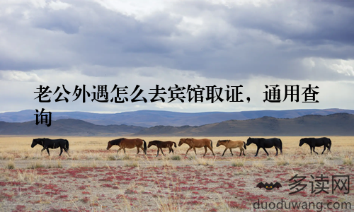 老公外遇怎么去宾馆取证，通用查询