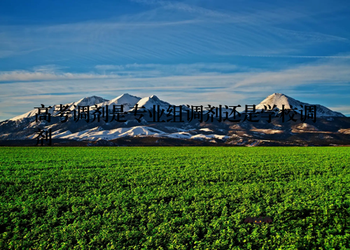 高考调剂是专业组调剂还是学校调剂