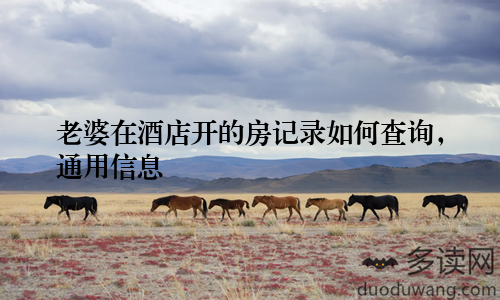 老婆在酒店开的房记录如何查询，通用信息