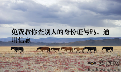 免费教你查别人的身份证号码,通用信息