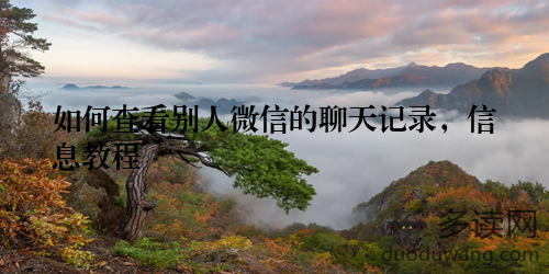 如何查看别人微信的聊天记录，信息教程