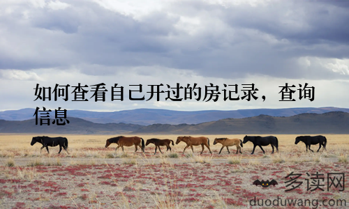 如何查看自己开过的房记录，查询信息